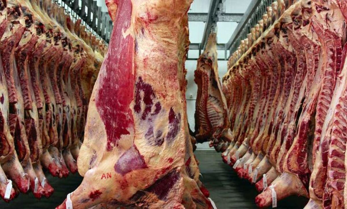 نبود شفافیت و کاهش ارز ترجیحی باعث افزایش قیمت گوشت و مرغ شد