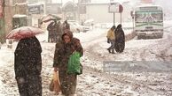 تصاویر ناب از ایرانِ قدیم
