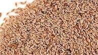  خواص دارویی اسفرزه از دیدگاه طب سنتی 