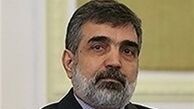  تکذیب مصاحبه با دانشمندان هسته‌ای