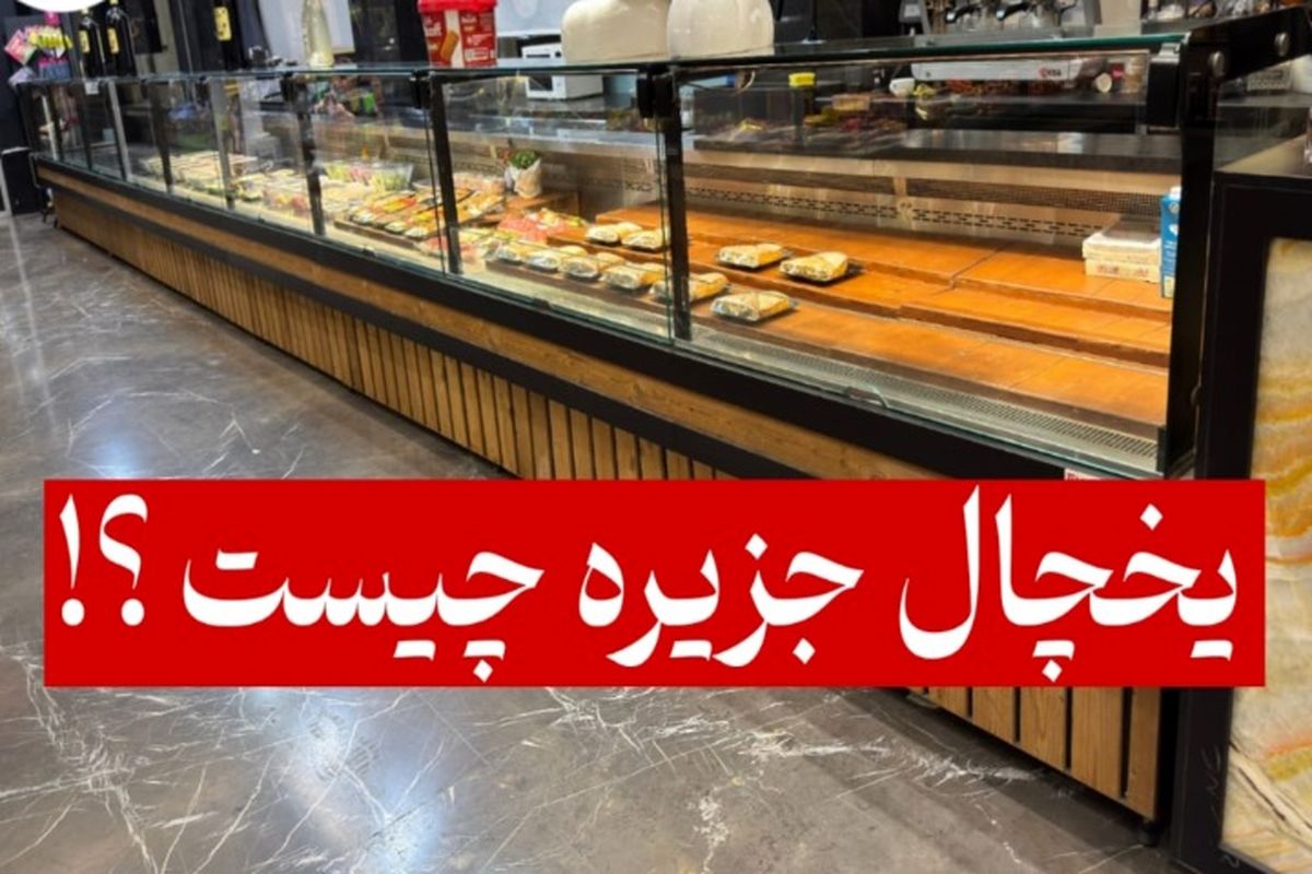 یخچال و فریزر جزیره‌ای چیست و چرا در فروشگاه‌ها محبوب شده است؟