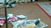 ورود روباه به یک خوابگاه دانشجویی در یزد+عکس