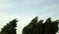 وزش باد شدید در تهران / احتمال سقوط بهمن در ارتفاعات