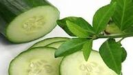 برای کاهش وزن هر روز یک خیار بخورید!