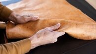 شاید کت‌های آینده از قارچ ساخته شوند!